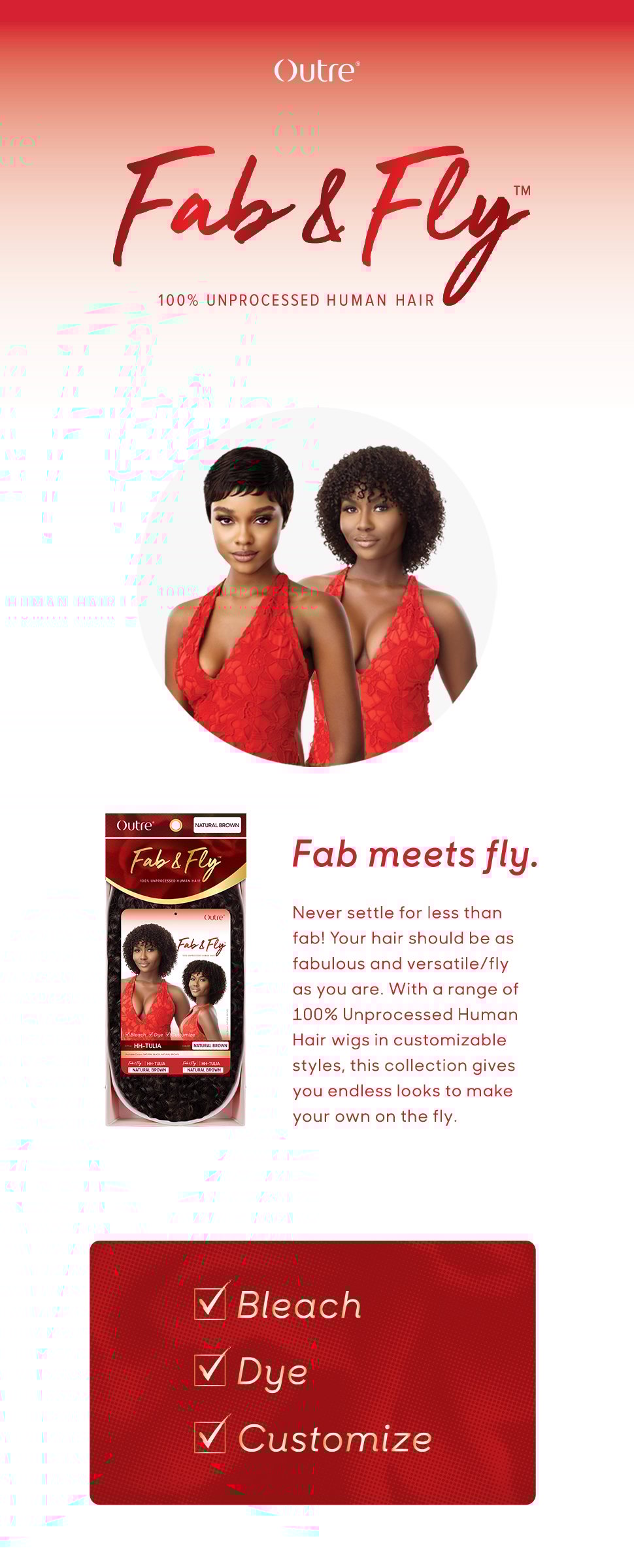 Brand Description Fab & Fly FINAL